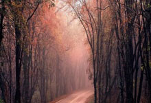 我们是冠军！武汉车谷江大女足夺得首届女足亚冠联赛冠军，武汉女足夺冠奖金