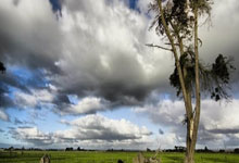 我们是冠军！武汉车谷江大女足夺得首届女足亚冠联赛冠军，武汉女足夺冠奖金