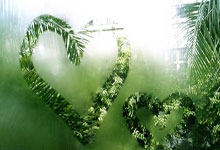 我们是冠军！武汉车谷江大女足夺得首届女足亚冠联赛冠军，武汉女足夺冠奖金