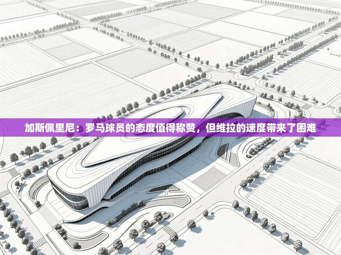 加斯佩里尼：罗马球员的态度值得称赞，但维拉的速度带来了困难  第2张