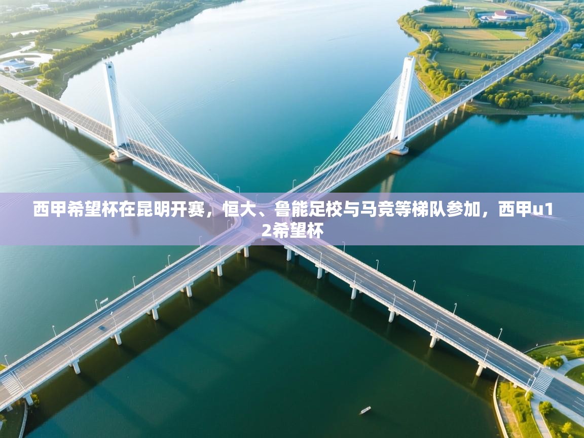 西甲希望杯在昆明开赛,恒大、鲁能足校与马竞等梯队参加,西甲u12希望杯 第2张