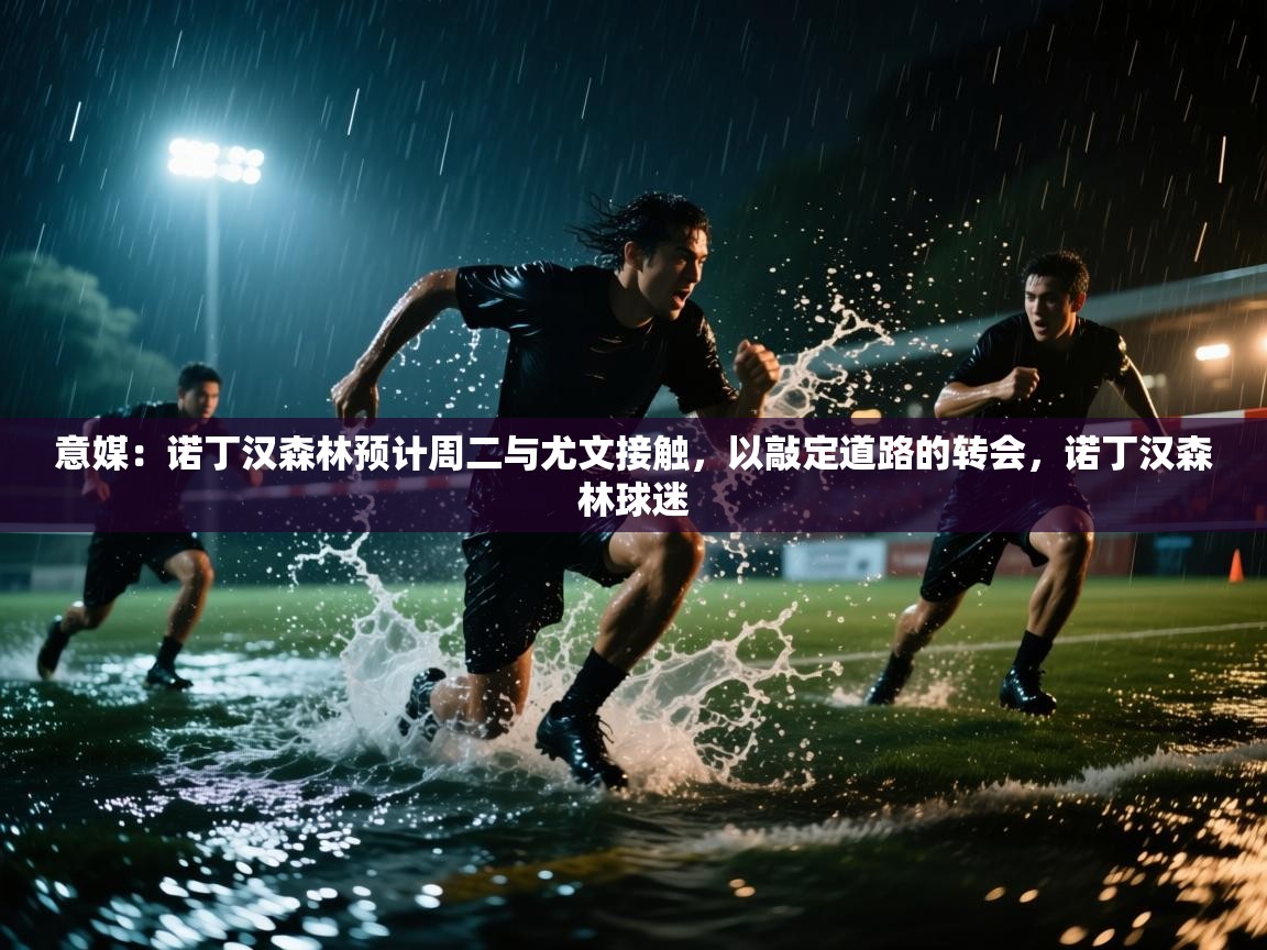 意媒:诺丁汉森林预计周二与尤文接触,以敲定道路的转会,诺丁汉森林球迷 第2张